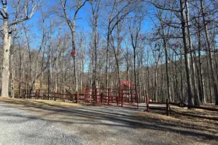 250 Trout Pass, Mathias, WV 26812 - Photo 102