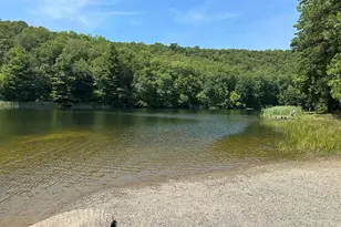 250 Trout Pass, Mathias, WV 26812 - Photo 148