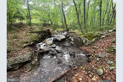 250 Trout Pass, Mathias, WV 26812 - Photo 78