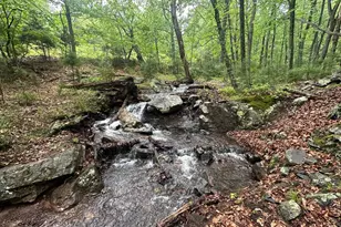 250 Trout Pass, Mathias, WV 26812 - Photo 78