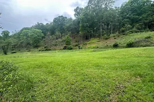 250 Trout Pass, Mathias, WV 26812 - Photo 84