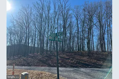 250 Trout Pass, Mathias, WV 26812 - Photo 108