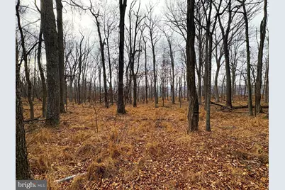 2780 High Knob Road, Old Fields, WV 26845 - Photo 8