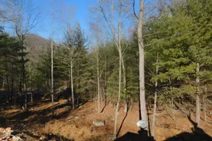 354 Brooke Trout Dr, Wardensville, WV 26851 - Photo 40