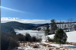 1299 Parker Hollow Rd, Baker, WV 26801 - Photo 8