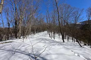 294 Ashton Woods, Moorefield, WV 26836 - Photo 22