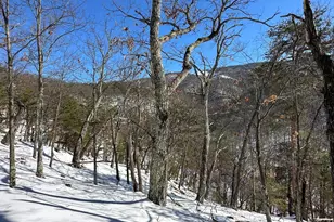 294 Ashton Woods, Moorefield, WV 26836 - Photo 30