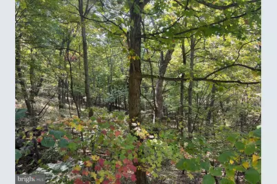 1604 High Knob Road, Old Fields, WV 26845 - Photo 94