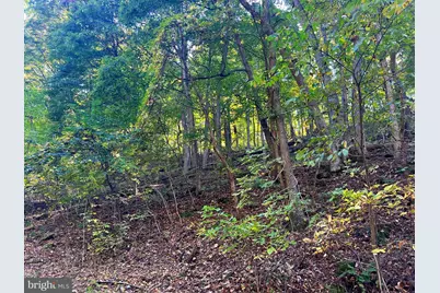 1604 High Knob Road, Old Fields, WV 26845 - Photo 90