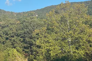 1604 High Knob Rd, Old Fields, WV 26845 - Photo 18