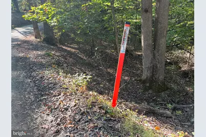 1604 High Knob Road, Old Fields, WV 26845 - Photo 104