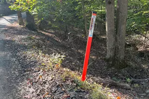 1604 High Knob Rd, Old Fields, WV 26845 - Photo 104