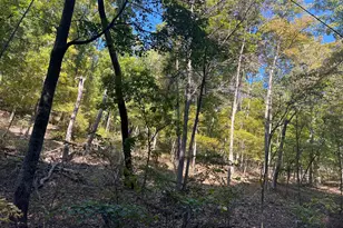 1604 High Knob Rd, Old Fields, WV 26845 - Photo 88