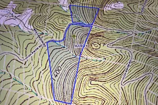 1604 High Knob Rd, Old Fields, WV 26845 - Photo 14