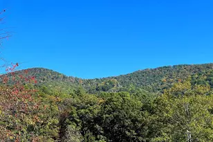 1604 High Knob Rd, Old Fields, WV 26845 - Photo 70