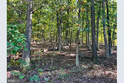 1604 High Knob Road, Old Fields, WV 26845 - Photo 78