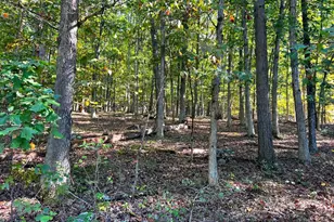 1604 High Knob Rd, Old Fields, WV 26845 - Photo 78