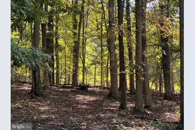 1604 High Knob Road, Old Fields, WV 26845 - Photo 84