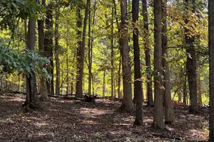 1604 High Knob Rd, Old Fields, WV 26845 - Photo 84