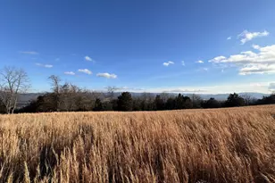 38 43 Acres Howard Sions Rd, Moorefield, WV 26836 - Photo 1