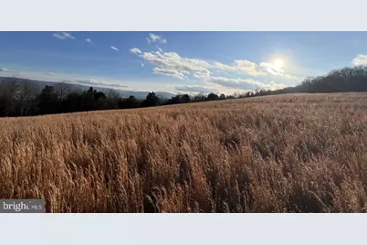 38.43 Acres Howard Sions Road, Moorefield, WV 26836 - Photo 2