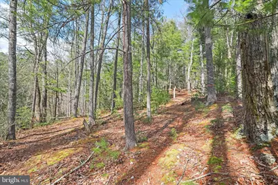 3699 Waites Run Road, Wardensville, WV 26851 - Photo 20