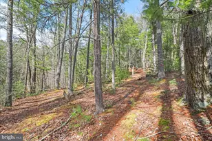 3699 Waites Run Rd, Wardensville, WV 26851 - Photo 20