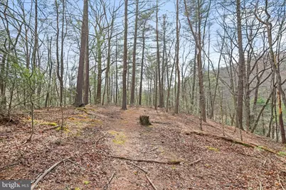 3699 Waites Run Road, Wardensville, WV 26851 - Photo 22