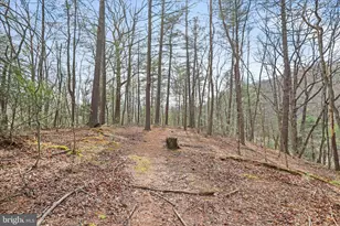 3699 Waites Run Rd, Wardensville, WV 26851 - Photo 22