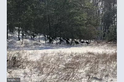 356 Ashton Woods, Moorefield, WV 26836 - Photo 54