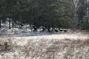 356 Ashton Woods, Moorefield, WV 26836 - Photo 54