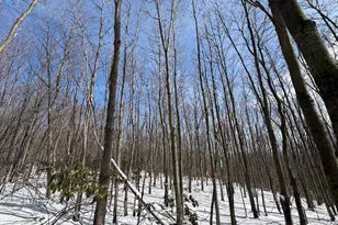 356 Ashton Woods, Moorefield, WV 26836 - Photo 34