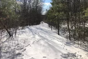 356 Ashton Woods, Moorefield, WV 26836 - Photo 44