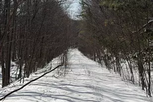 356 Ashton Woods, Moorefield, WV 26836 - Photo 26