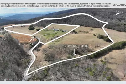 163 Olive Branch Road, Rio, WV 26755 - Photo 32