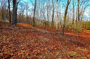 163 Olive Branch Rd, Rio, WV 26755 - Photo 18