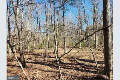 228 Oak Drive, Mathias, WV 26812 - Photo 26