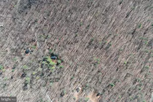 1080 Cove Mountain Rd, Mathias, WV 26812 - Photo 38