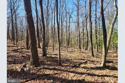 1080 Cove Mountain Road, Mathias, WV 26812 - Photo 14