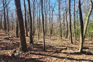 1080 Cove Mountain Rd, Mathias, WV 26812 - Photo 14