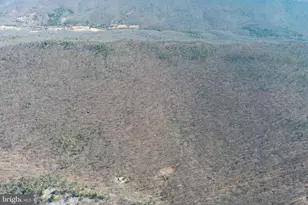 1080 Cove Mountain Rd, Mathias, WV 26812 - Photo 40