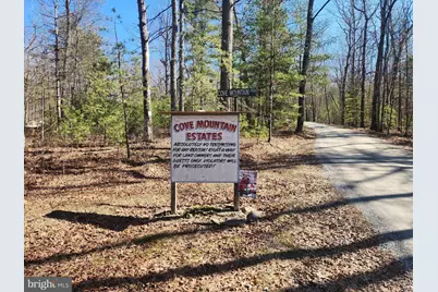 1080 Cove Mountain Road, Mathias, WV 26812 - Photo 4