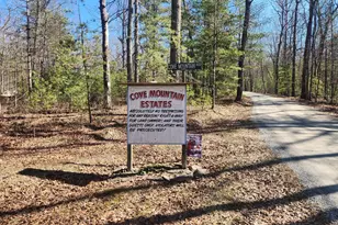 1080 Cove Mountain Rd, Mathias, WV 26812 - Photo 4