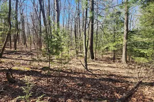 1080 Cove Mountain Rd, Mathias, WV 26812 - Photo 12