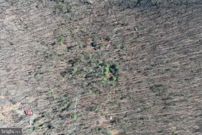 1080 Cove Mountain Road, Mathias, WV 26812 - Photo 42