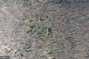 1080 Cove Mountain Rd, Mathias, WV 26812 - Photo 42