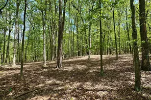 125 Ender Ave, Moorefield, WV 26836 - Photo 20