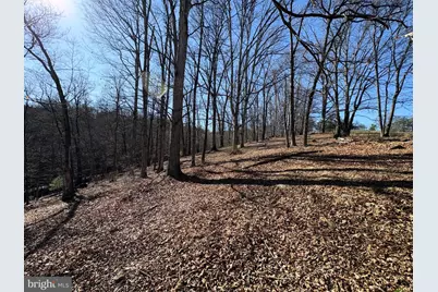 98.43 Ac Parker Hollow Road, Lost River, WV 26810 - Photo 16