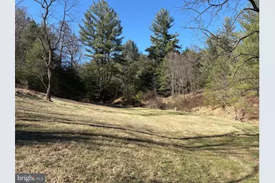 98.43 Ac Parker Hollow Road, Lost River, WV 26810 - Photo 4