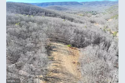 98.43 Ac Parker Hollow Road, Lost River, WV 26810 - Photo 48